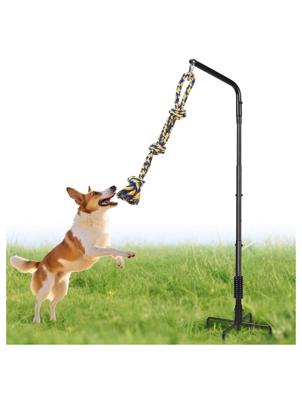 Dog Tug of War Toys with Rack